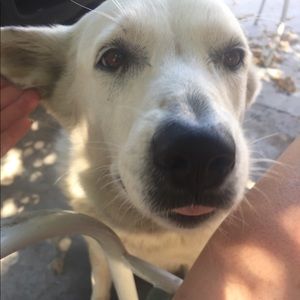 Meet your Posher, Maria